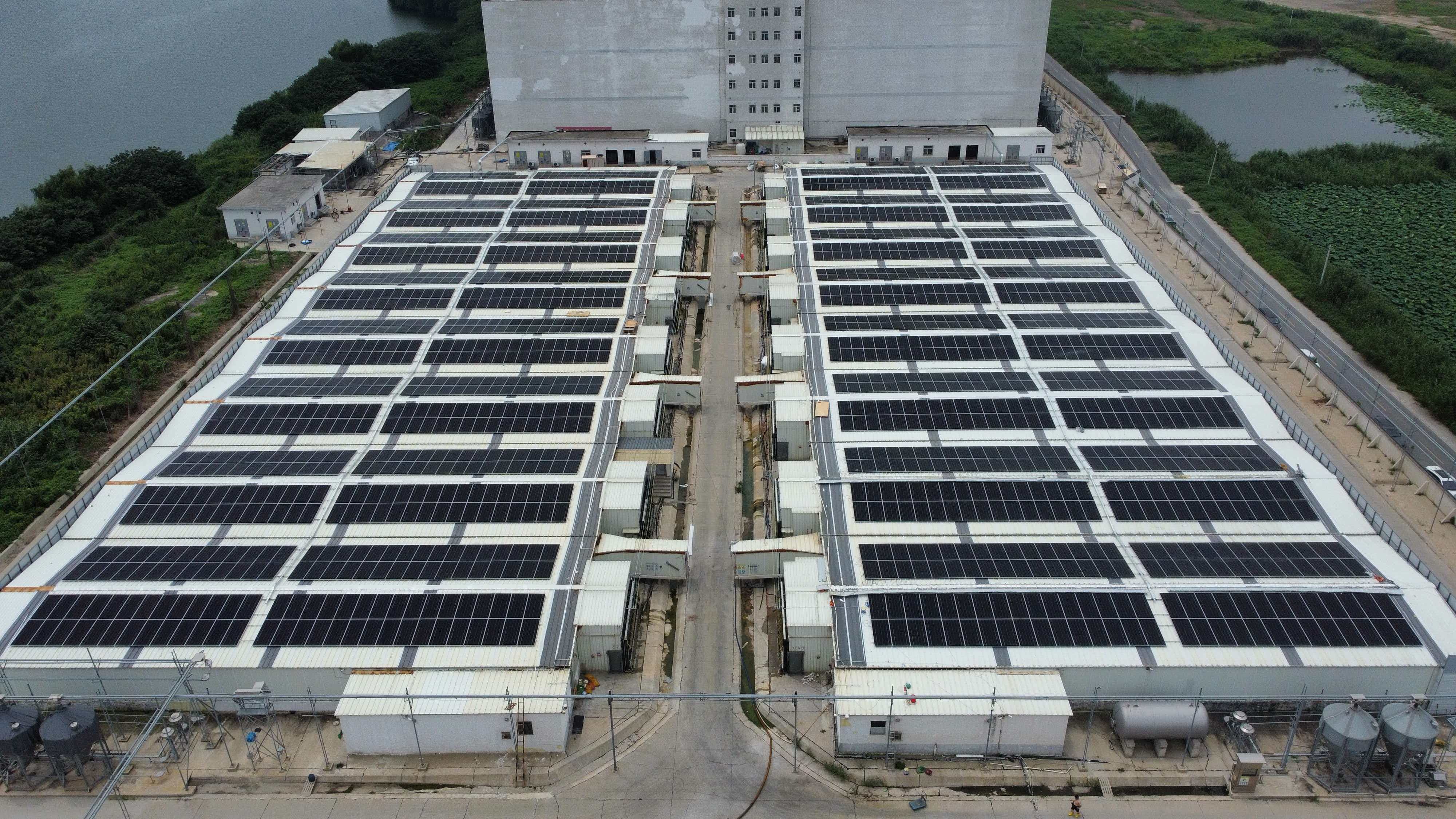 捷报|四地齐并网!赋能江苏牧原绿色养殖